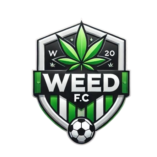 Rayo Valladares Logo